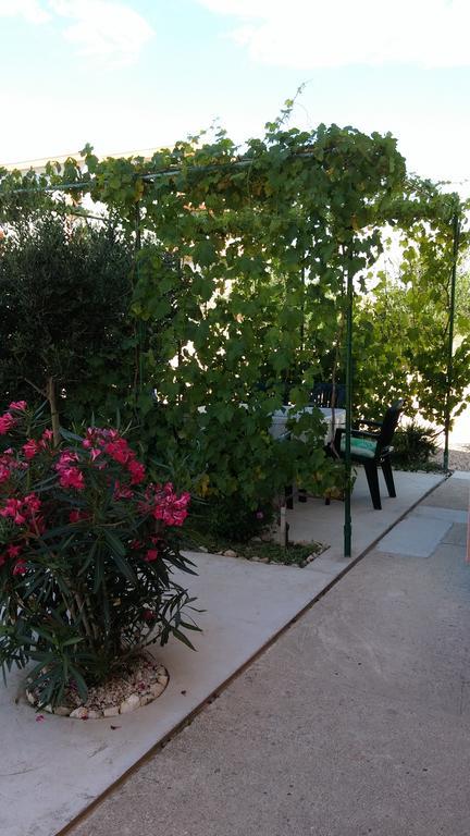 With Pool Petra & Sanja Appartement *